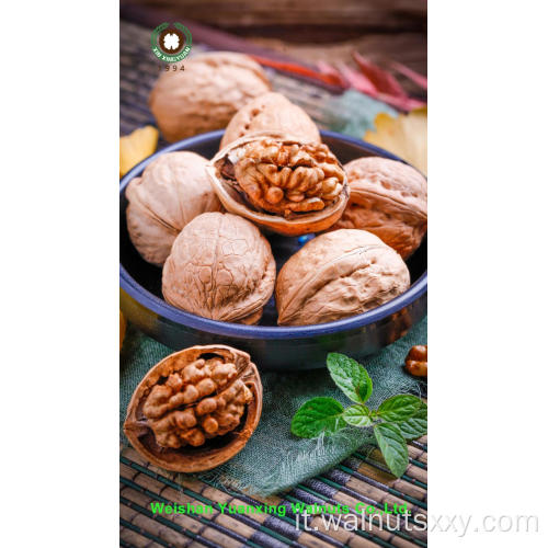 Kernut Kernel Kernut Kernut Kernut Halves Halves (lah)